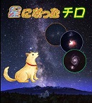 団体向け【星になったチロ】