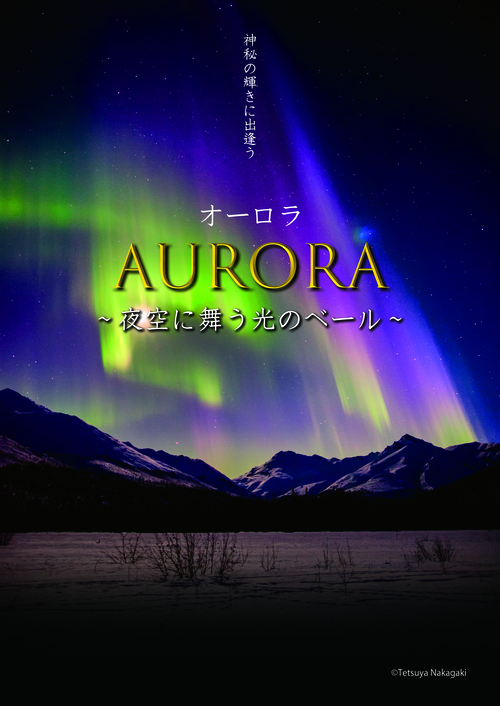 【令和6年11月9日限定投映】オーロラ～夜空に舞う光のベール～